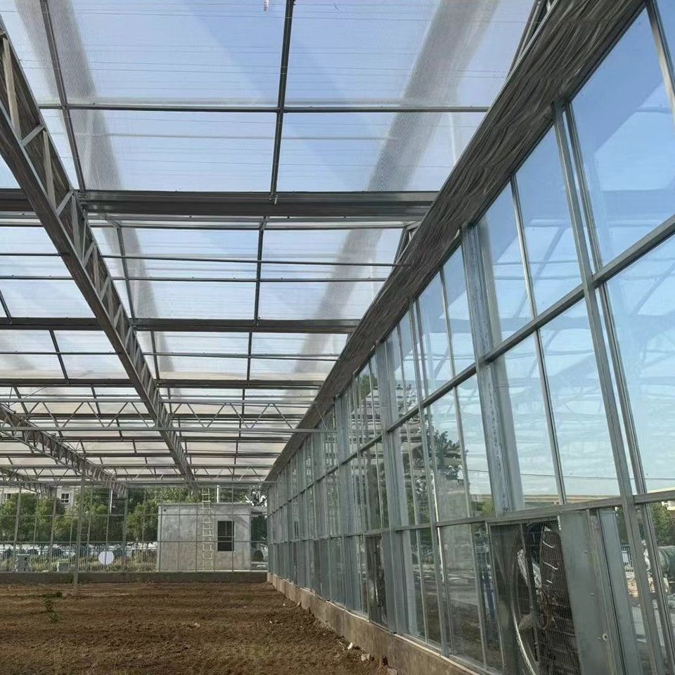 Glazed roof and walkway inside a large polycarbonate greenhouse