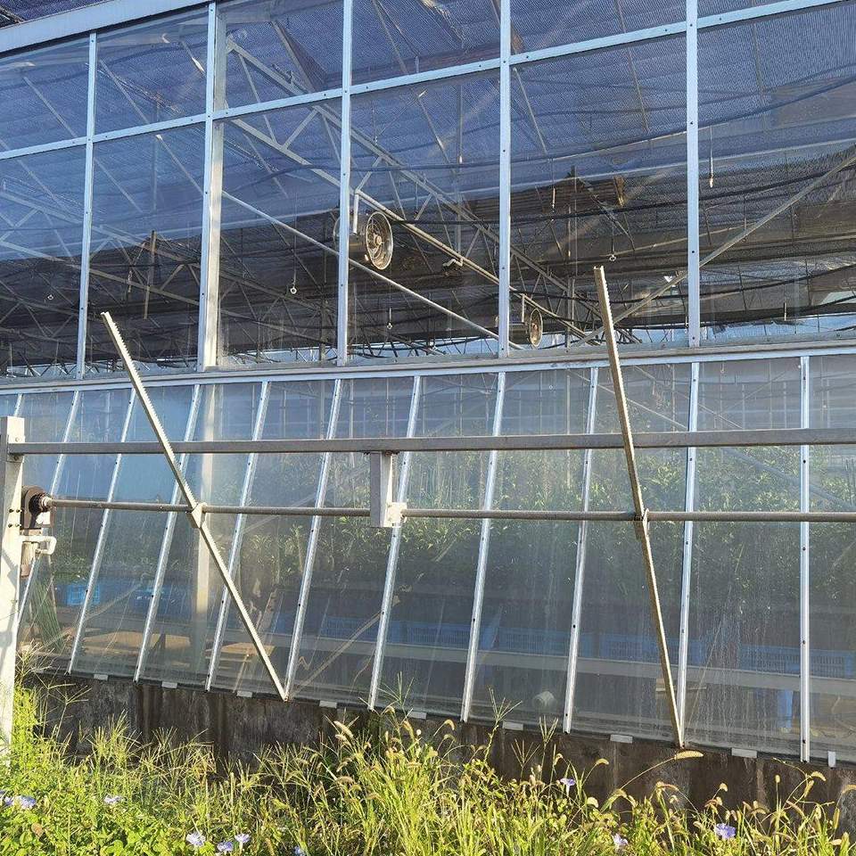 PC panel wall and steel frame seen from inside a greenhouse