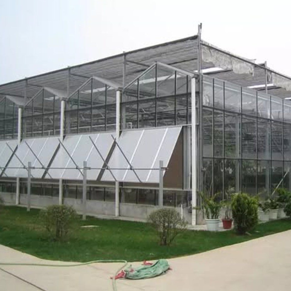Twin Wall Polycarbonate Greenhouse for Smart Farming and Berry Crops