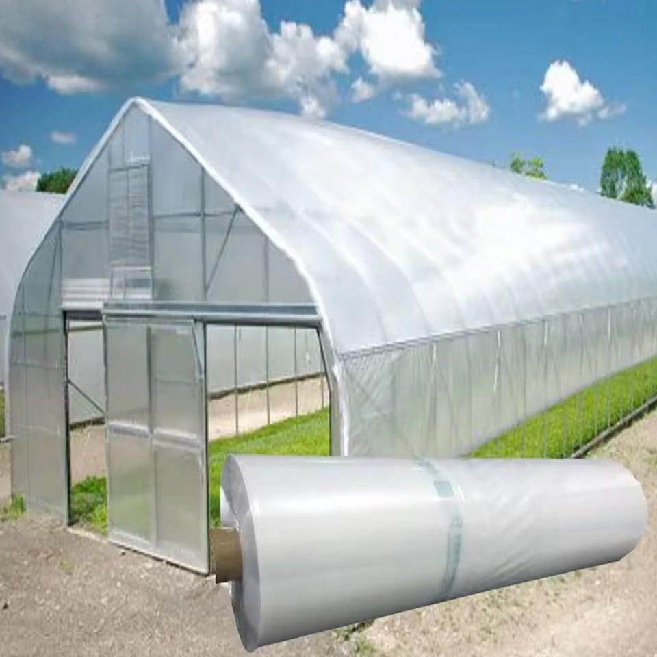 Roll of five layer co-extrusion PE greenhouse film in front of a tunnel greenhouse