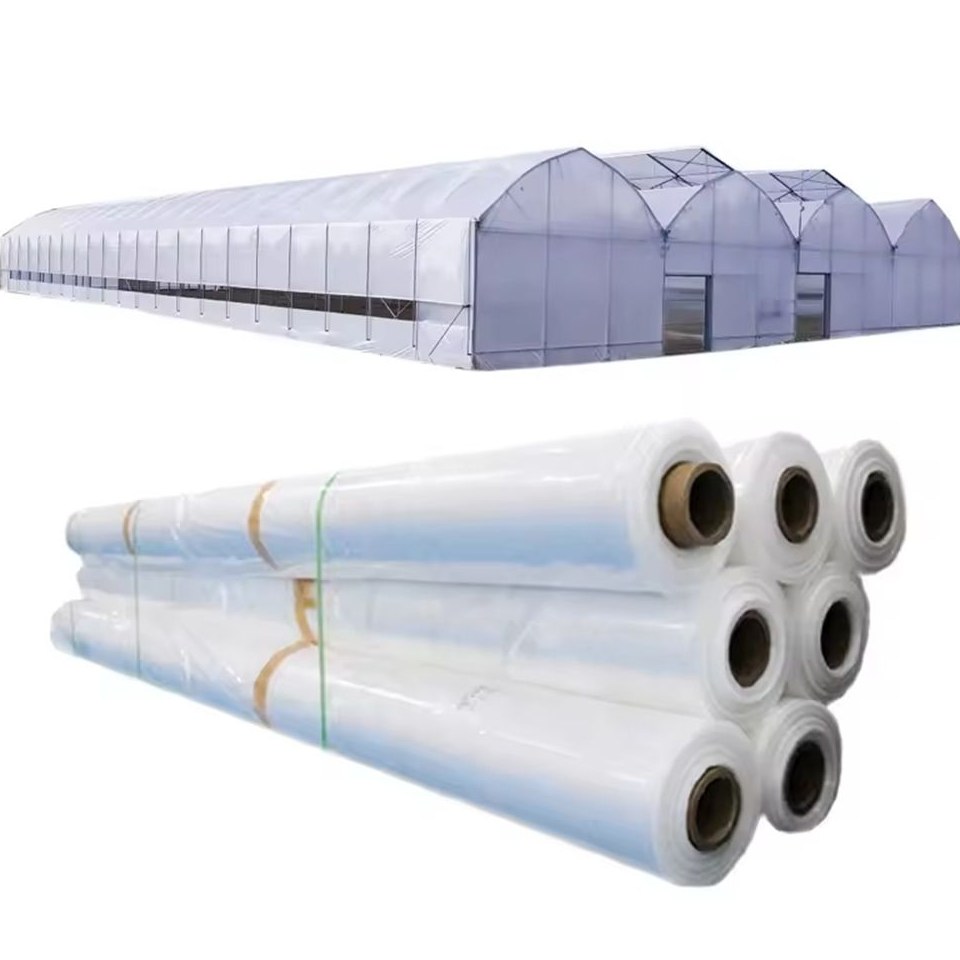 Greenhouse structure and stacked film rolls prepared for covering
