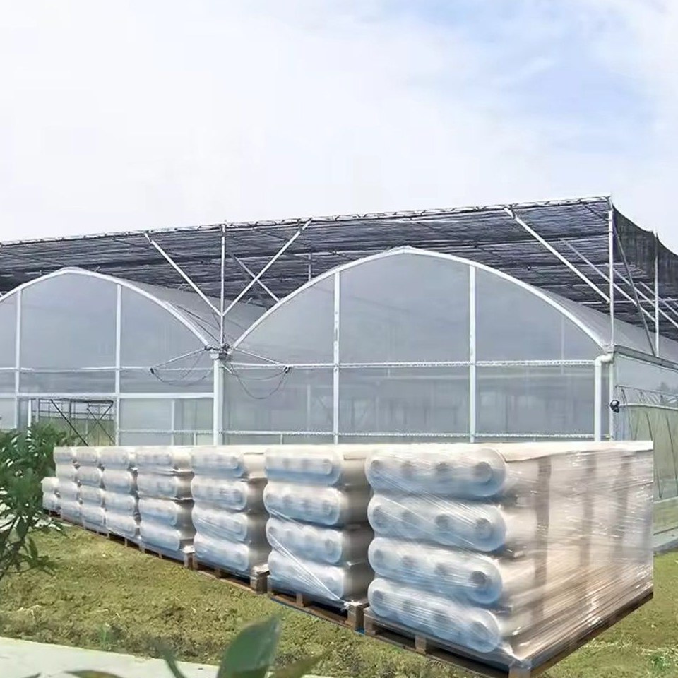 Pallets of stacked greenhouse film rolls ready for container shipment