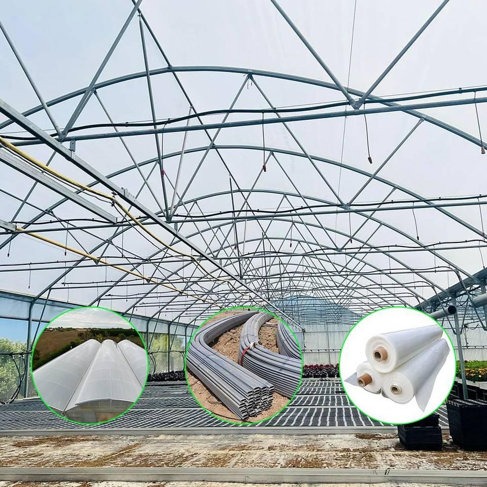 Tunnel greenhouse covered with clear polyethylene film in a field