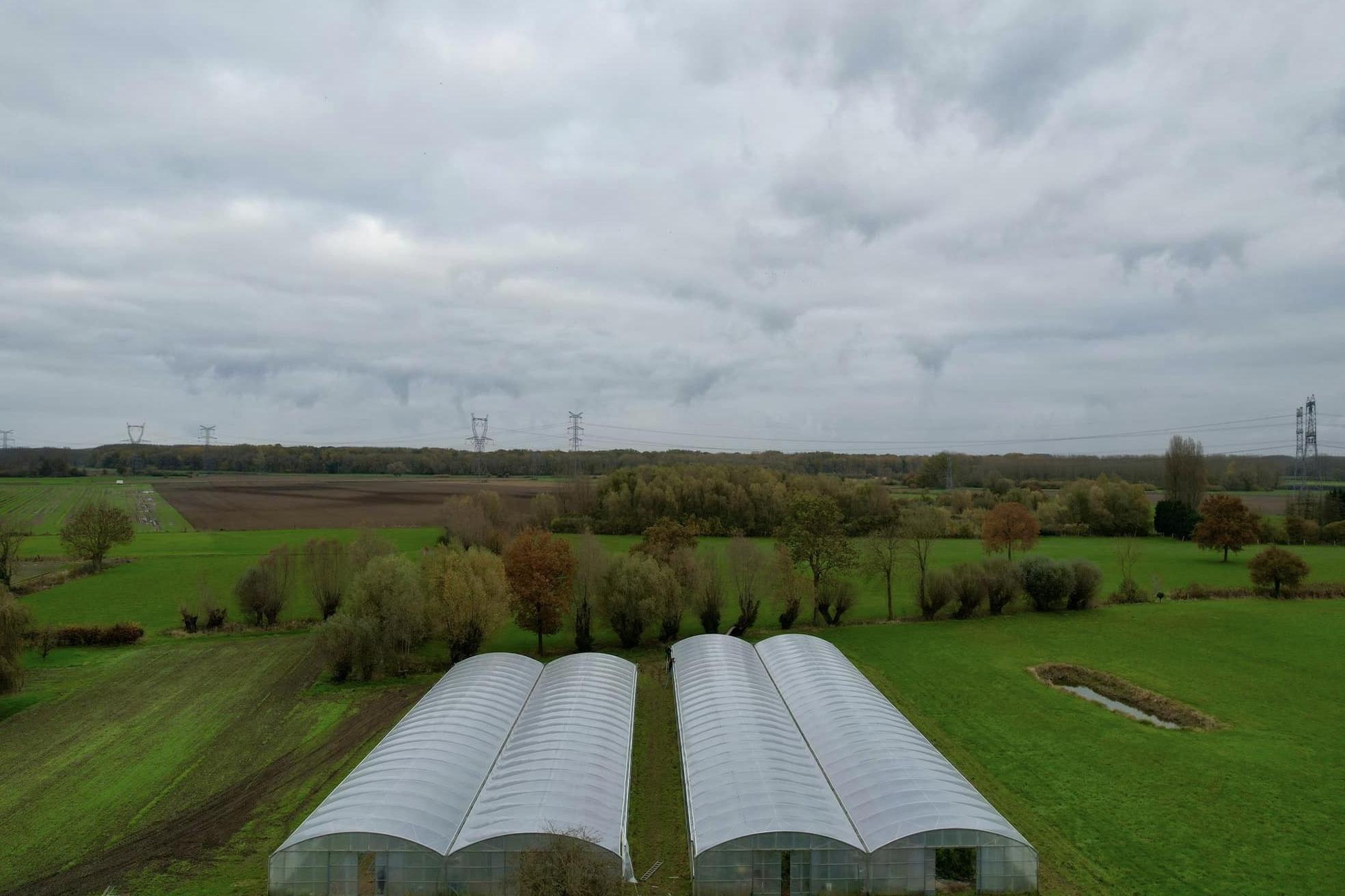 Field of plastic film greenhouses with ridge roofs under a cloudy sky