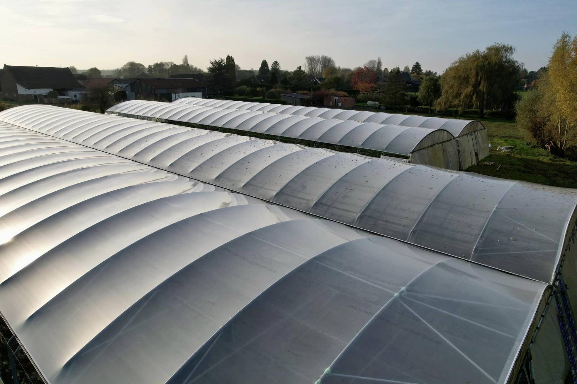 Rows of film covered multi span greenhouse roofs in autumn