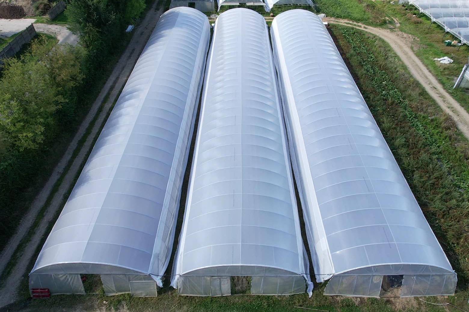 Multi span film greenhouses laid out in rows with service paths between them