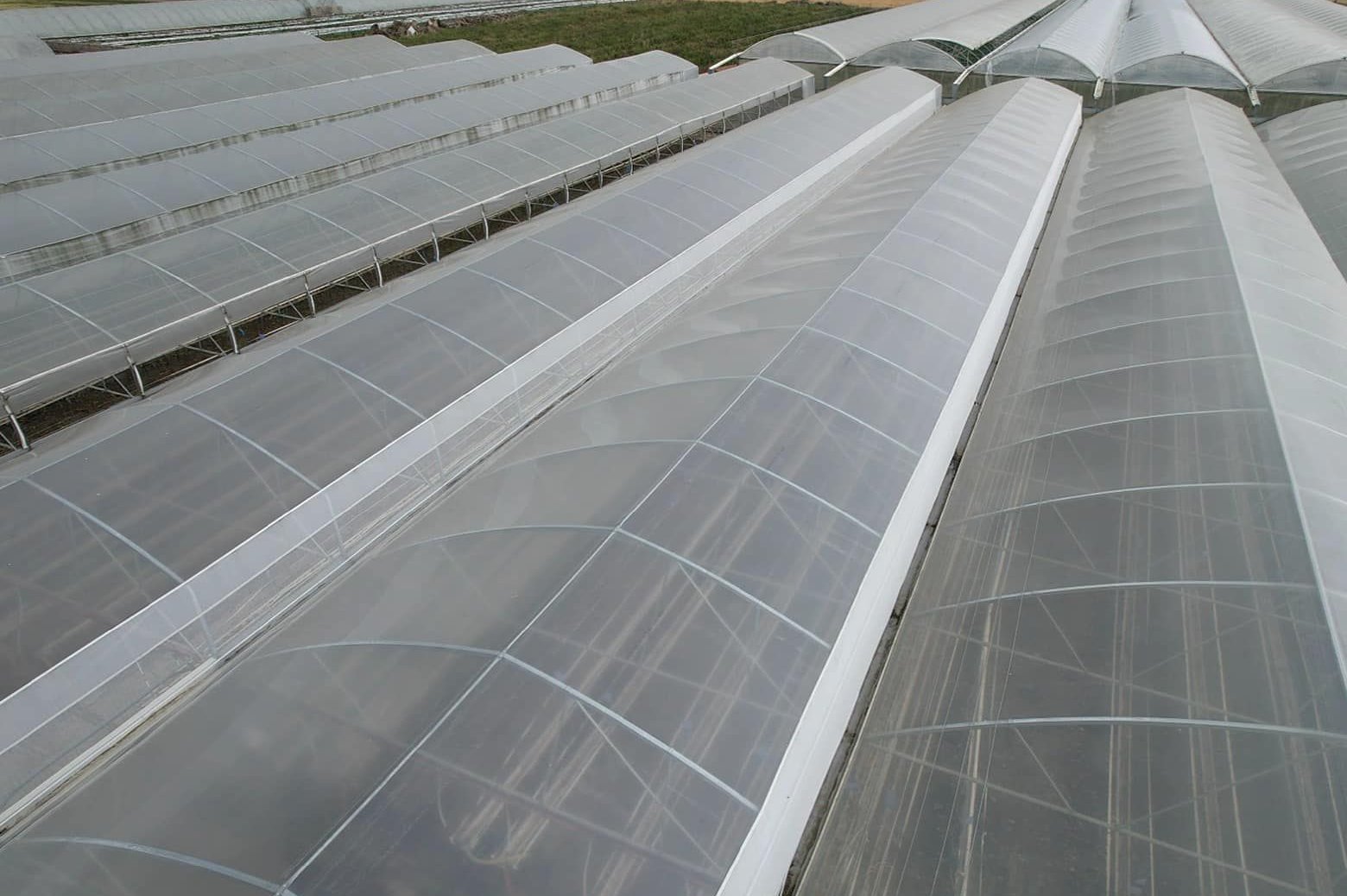 Aerial view along the arched roofs of a multi span film greenhouse