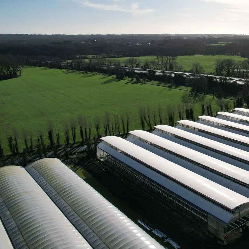 Film greenhouses set in green countryside seen from above