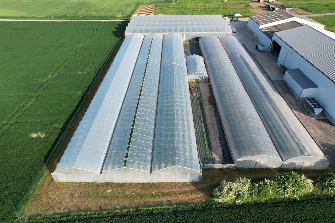 Aerial view of arch roofed plastic film greenhouses beside flower beds