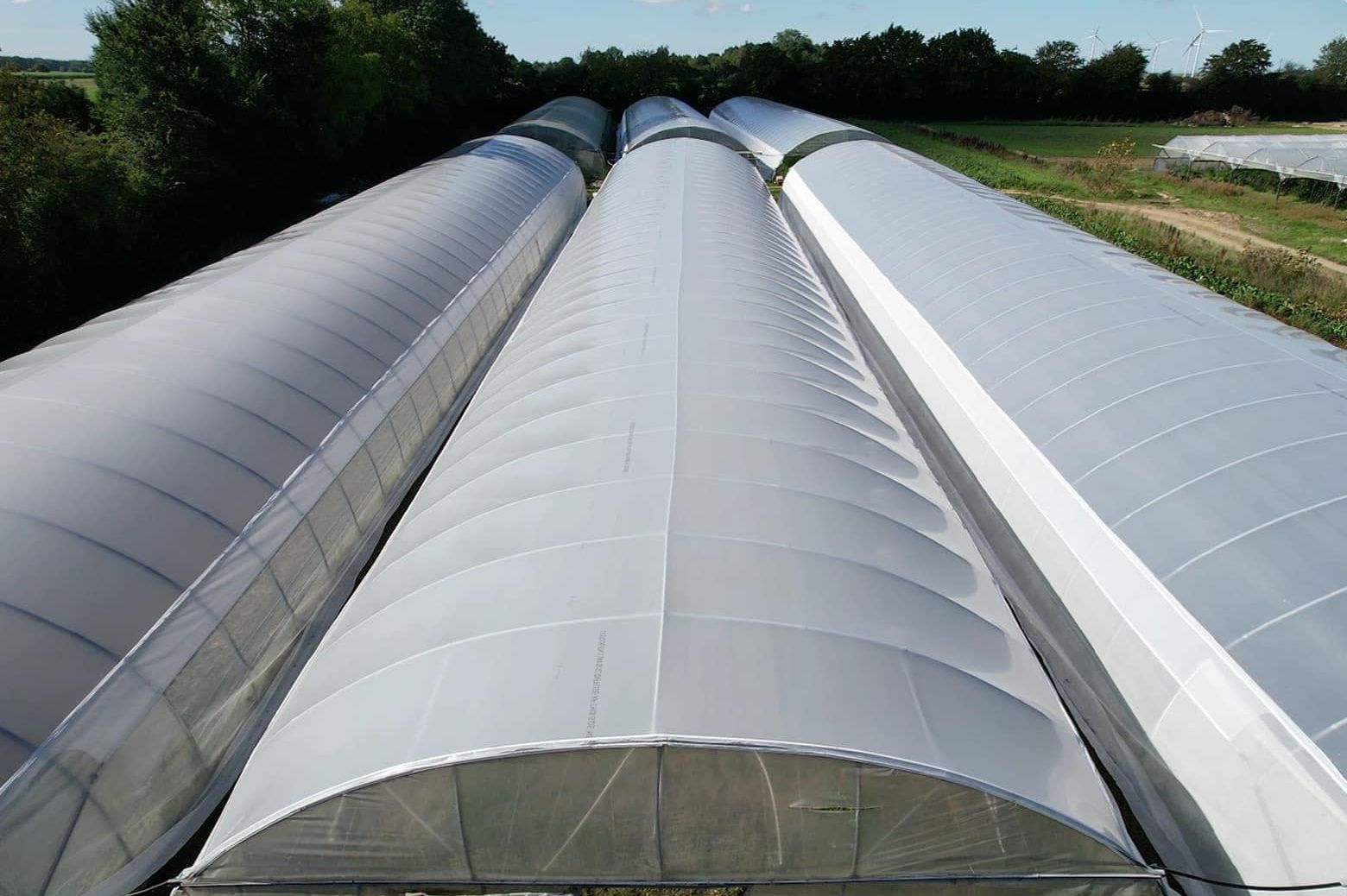Close view of the arched film roof of a plastic greenhouse