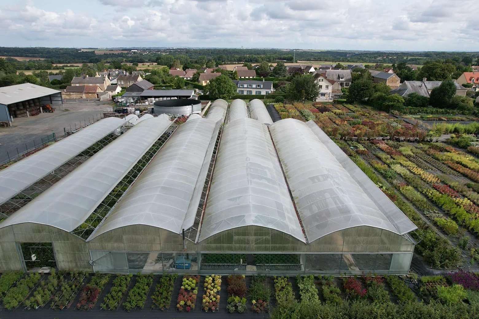 Arch Plastic Film Greenhouse for Commercial Orchid and Flower Growing