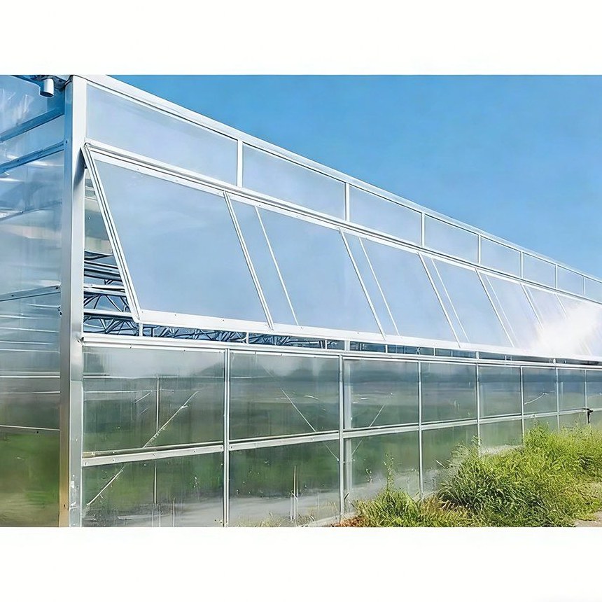 Multi span polycarbonate greenhouse with glazed walls reflecting the sky
