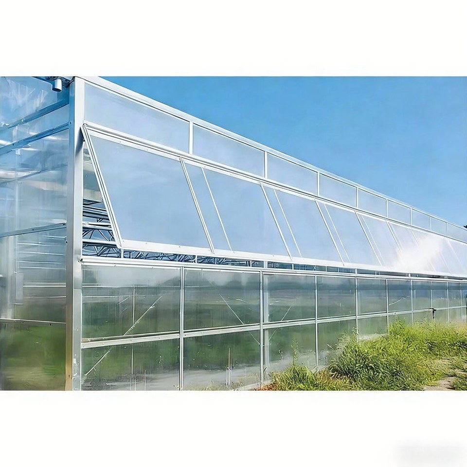 Polycarbonate Multi Span Greenhouse for Vegetables Fruits and Flowers