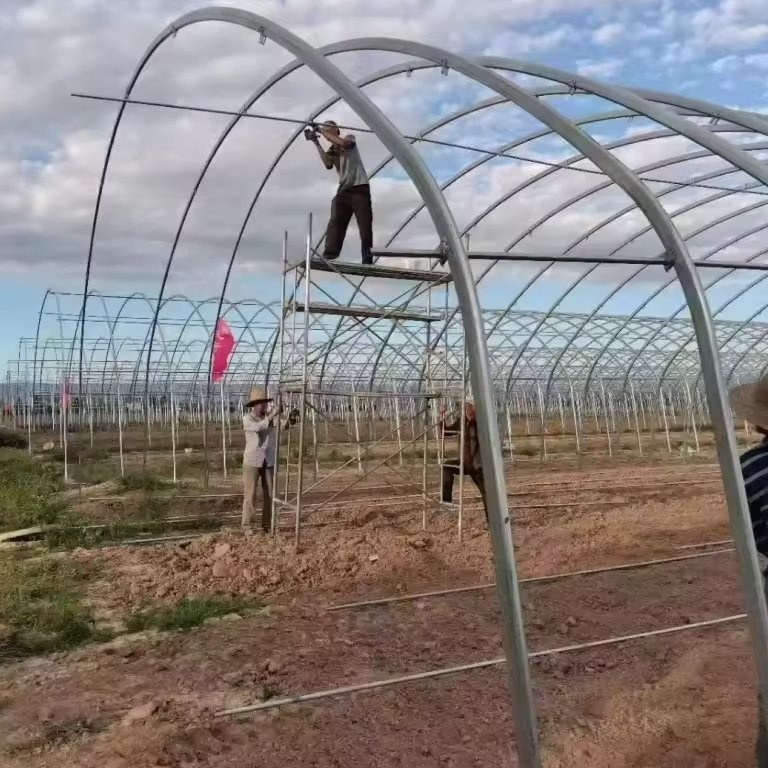 Worker on a platform fitting the ridge section of an arched greenhouse frame