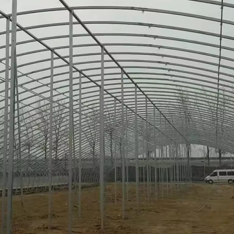 Galvanized arches and purlins seen from inside a single span greenhouse frame