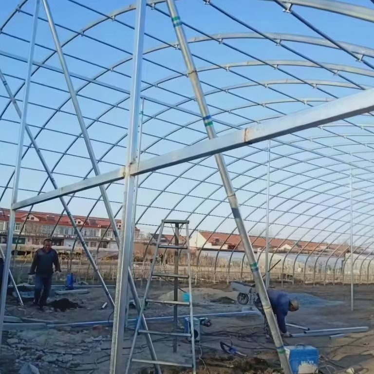 Galvanized frame of a polycarbonate greenhouse under a clear blue sky