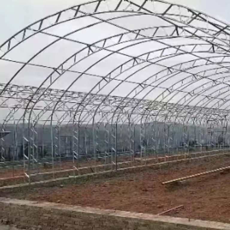 Gothic Arch Single Span PC Sheet Greenhouse for Vegetable Growing
