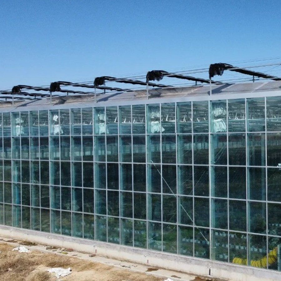 Polycarbonate greenhouse with twin wall panels under a clear sky