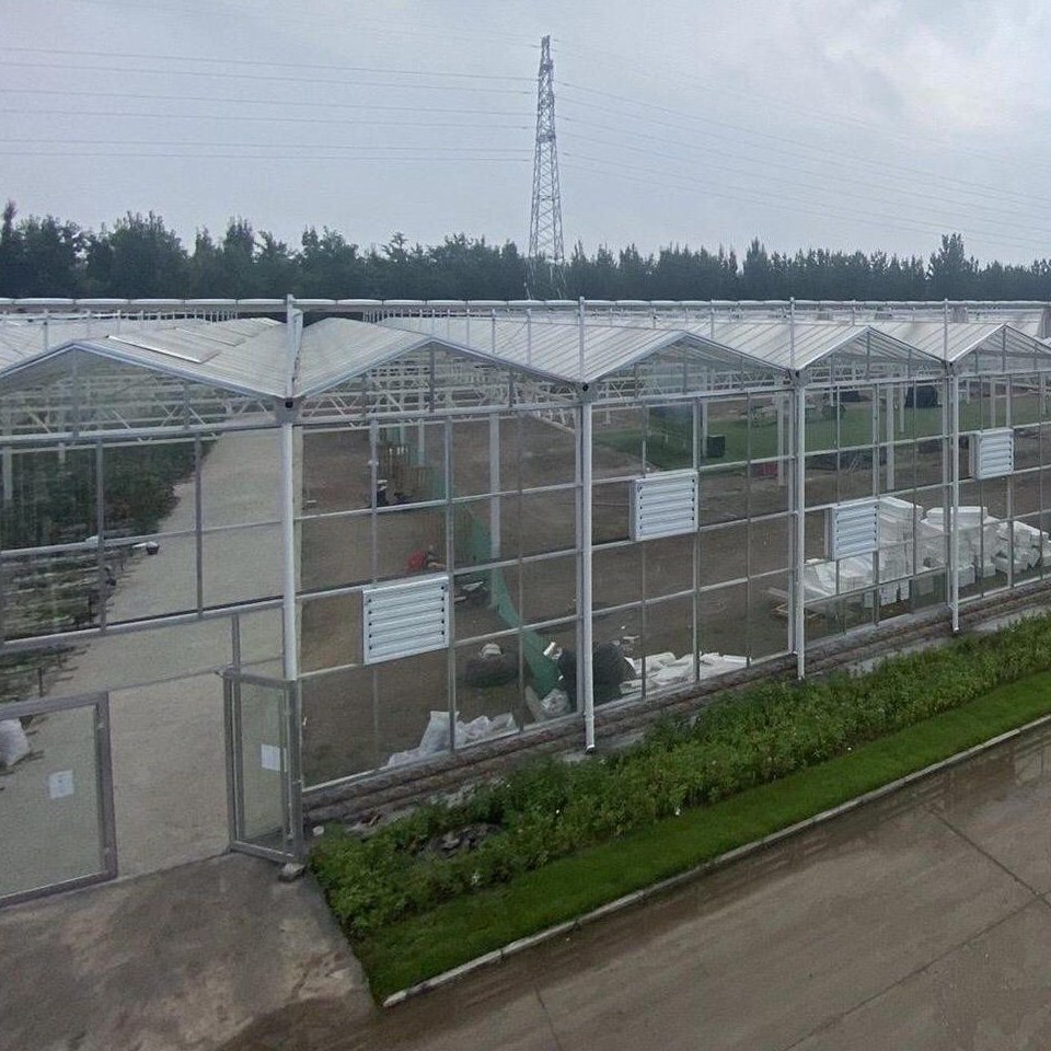 Polycarbonate greenhouse range beside a road with planting outside
