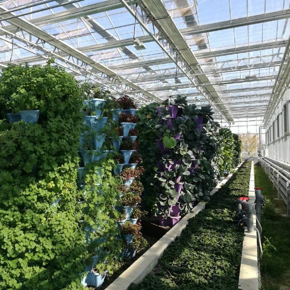 Vertical growing wall and crop aisle inside a panel greenhouse