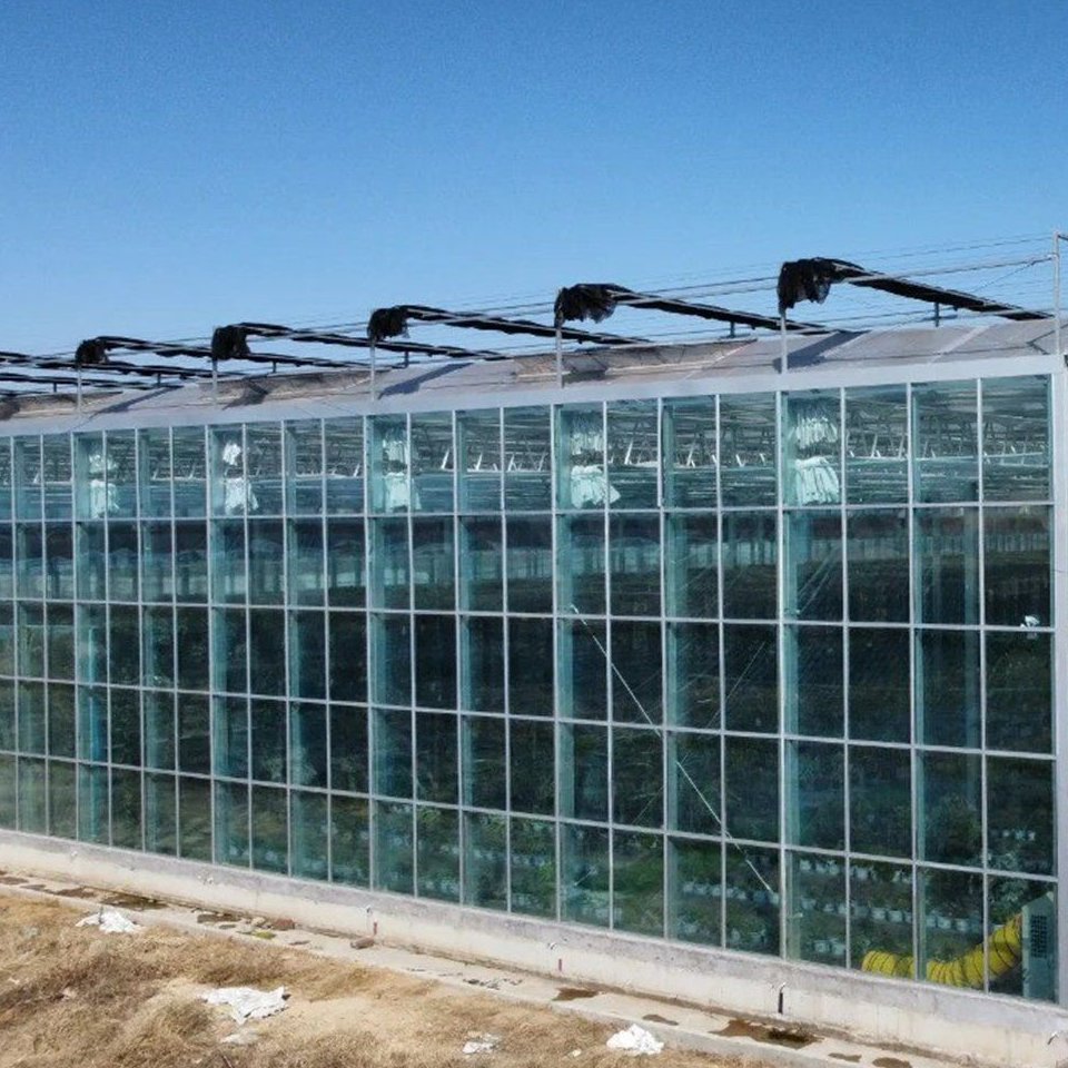 Polycarbonate Greenhouse Kit with Twin Wall Panels for Commercial Growing
