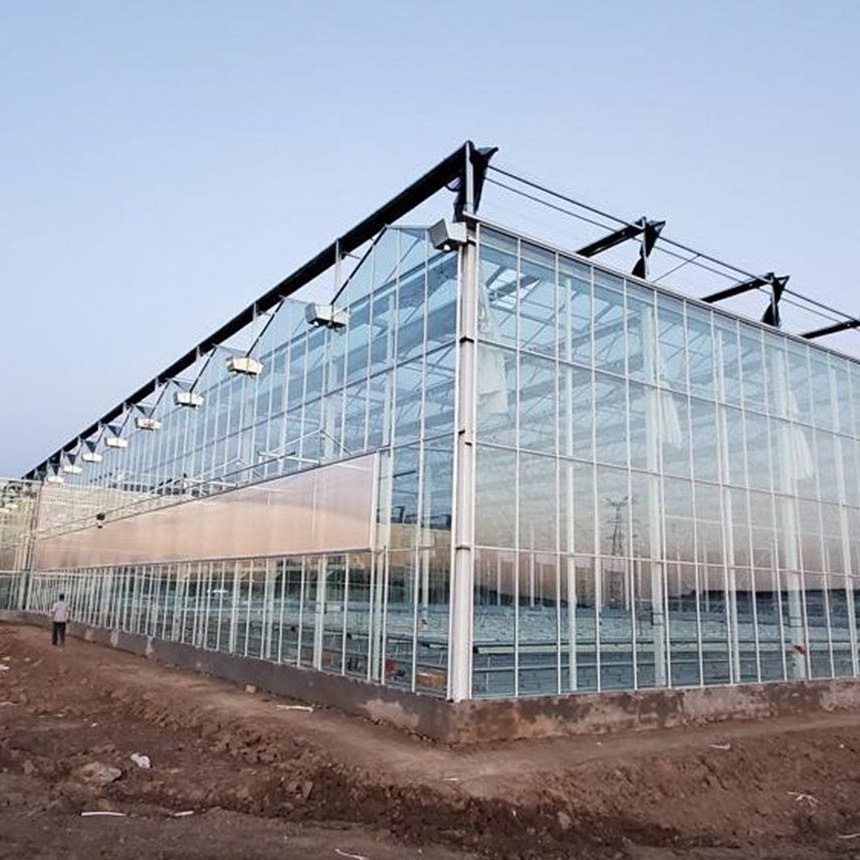 Polycarbonate panel greenhouse with the glazed wall reflecting the sky