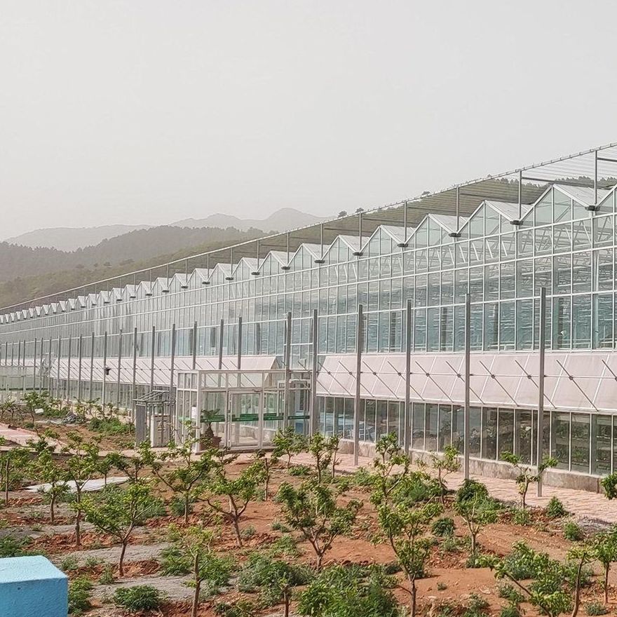 Long range of polycarbonate panel greenhouses along a service road