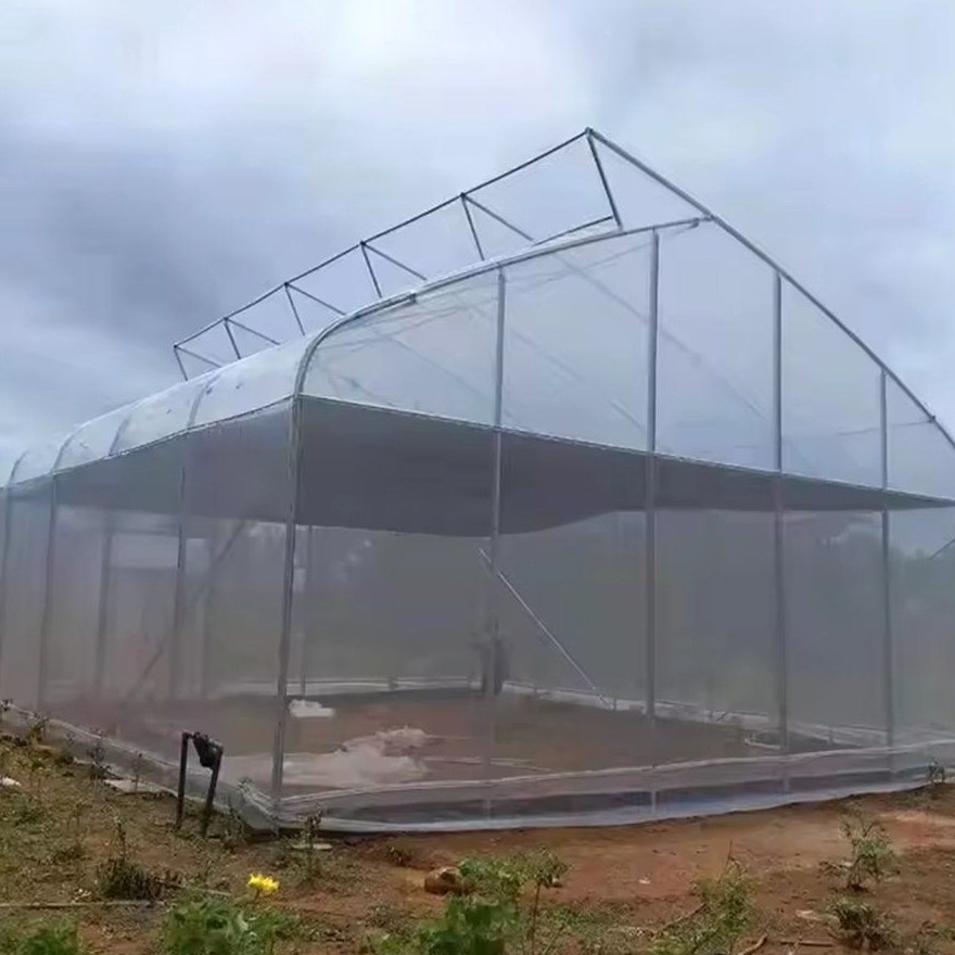 Sawtooth gothic greenhouse with the film cover in place