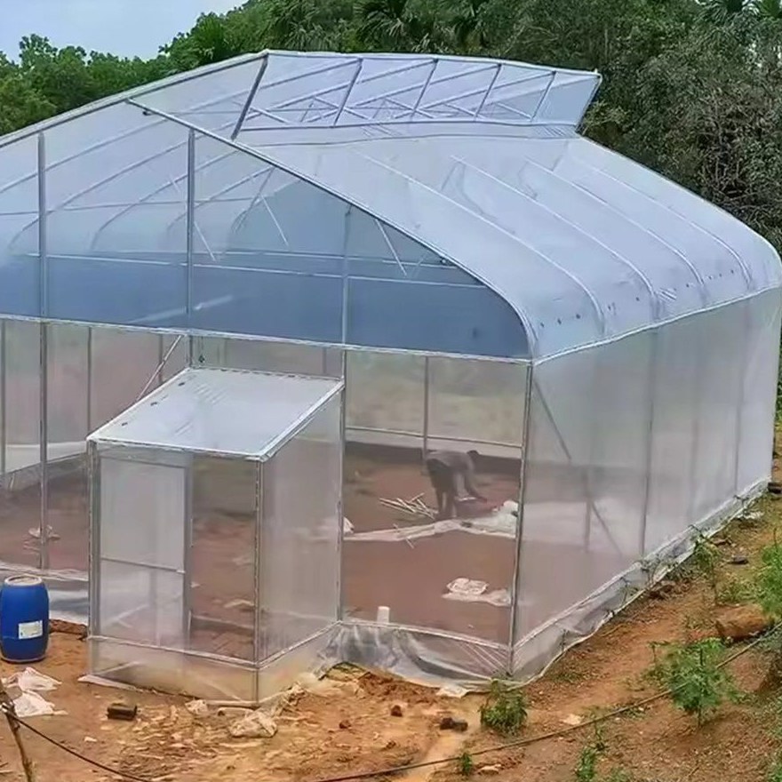 Side wall and entrance doors of a sawtooth gothic greenhouse