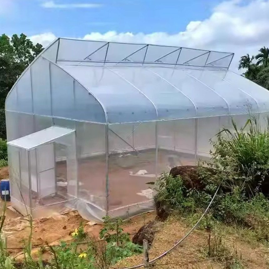 Front view of a sawtooth gothic arch greenhouse on a farm