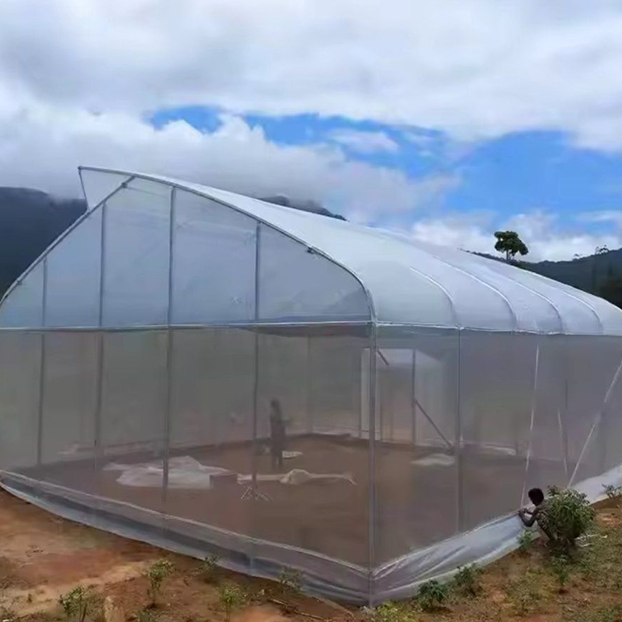 Gothic arch film greenhouse standing on open ground