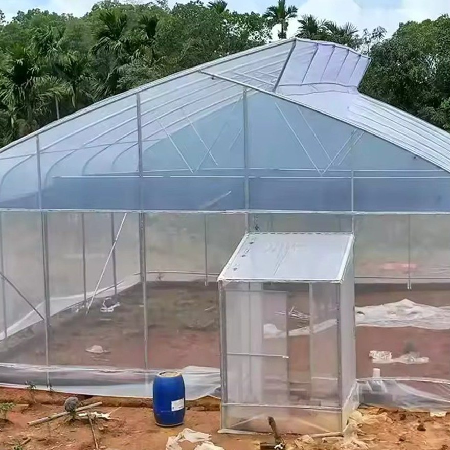 Gable entrance of a gothic arch sawtooth film greenhouse