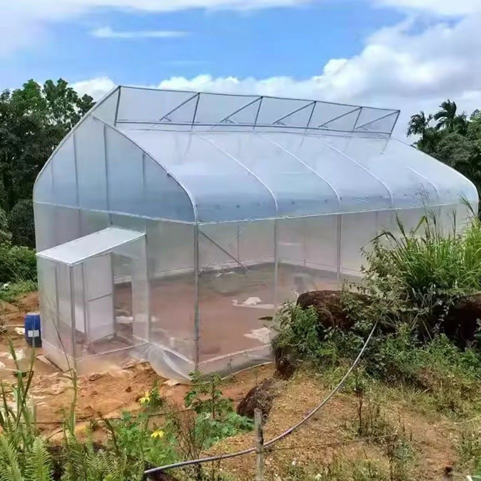 Sawtooth Gothic Arch Single Span Greenhouse with Side Ventilation PE Film