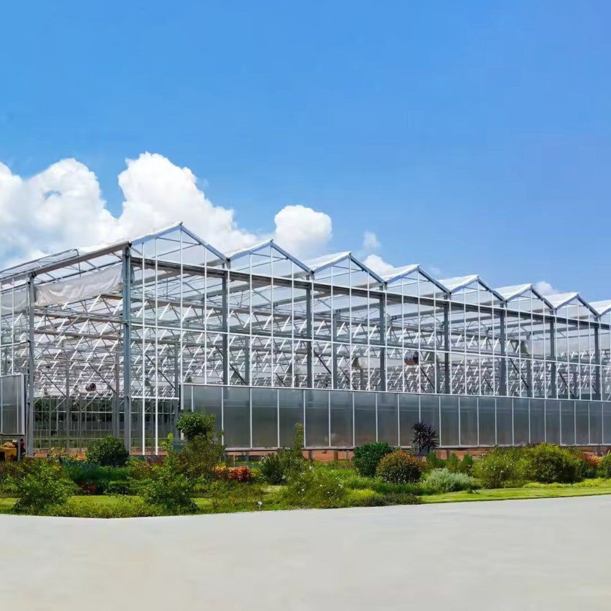 Sawtooth roof greenhouses seen across an open site against clouds
