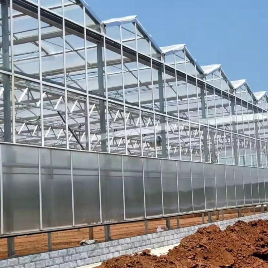 Long range of sawtooth polycarbonate greenhouses under a clear sky