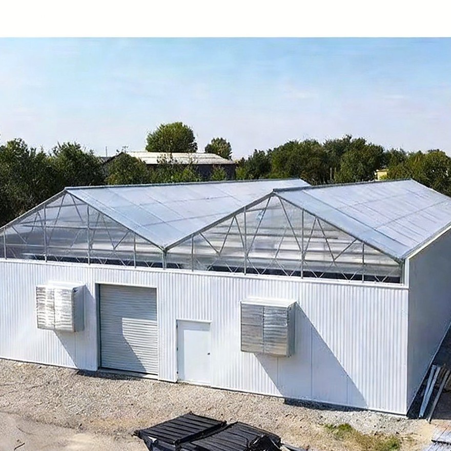 Polycarbonate panel greenhouse with a service door in the end wall