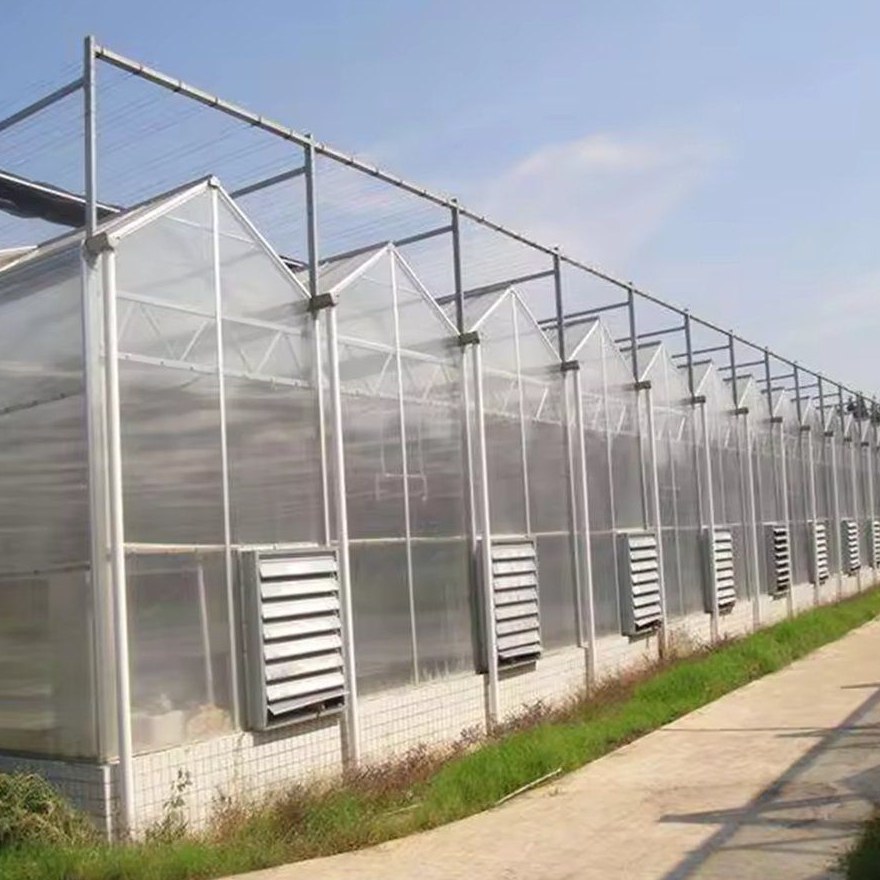 Side wall of a polycarbonate greenhouse with cooling pads fitted