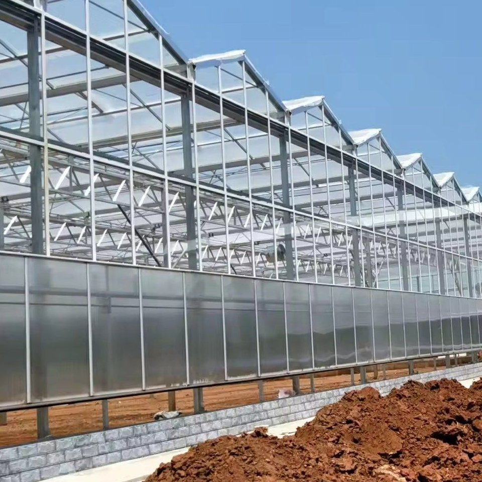 Sawtooth PC Greenhouse with 8 mm Twin Wall Panels for Tomato Farms