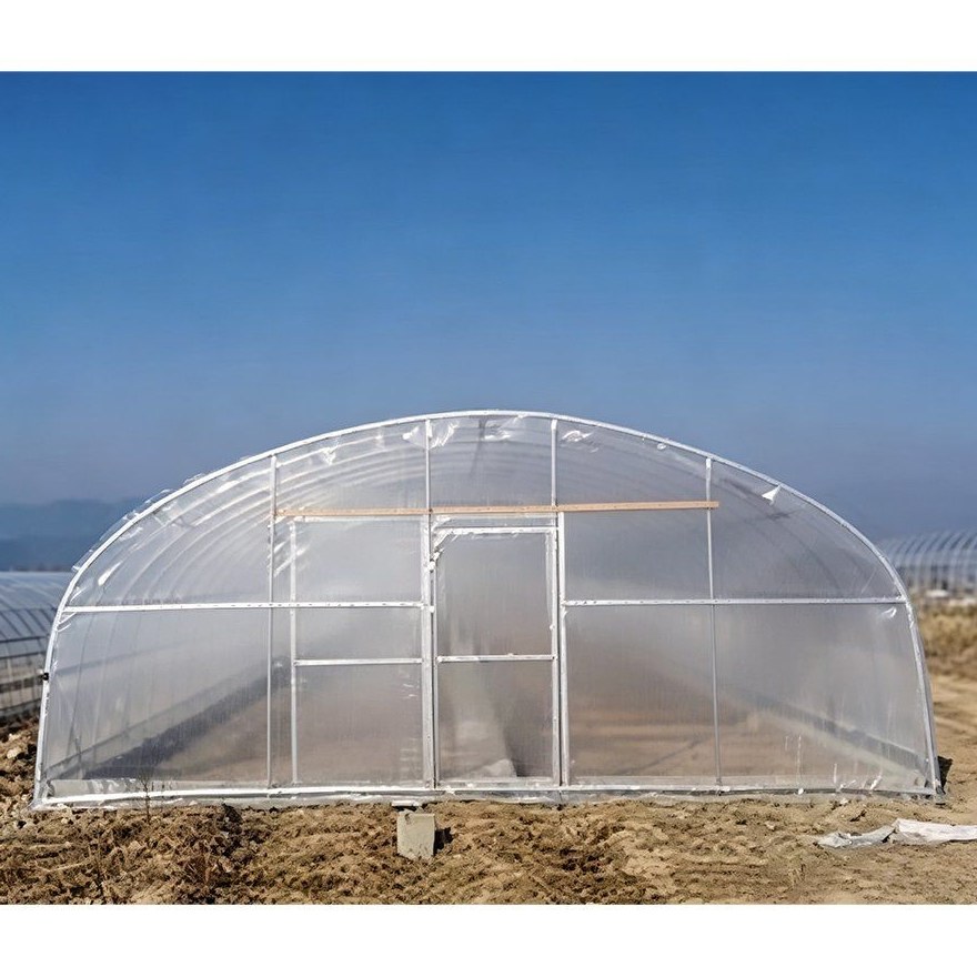 Gable end of a film tunnel greenhouse with the door in place