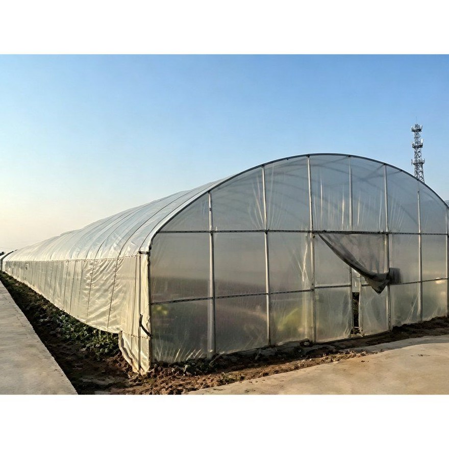 Single span film tunnel greenhouse standing in an open field