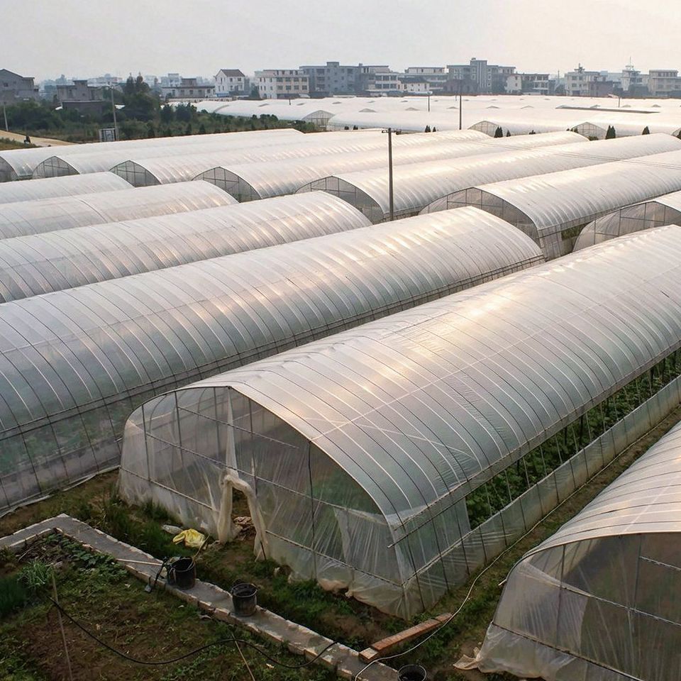 Commercial PE Film Tunnel Greenhouse for Large Scale Vegetable Farming