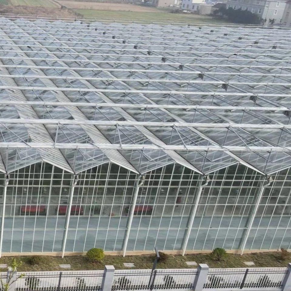 Commercial Smart Glass Greenhouse with App Remote Monitoring