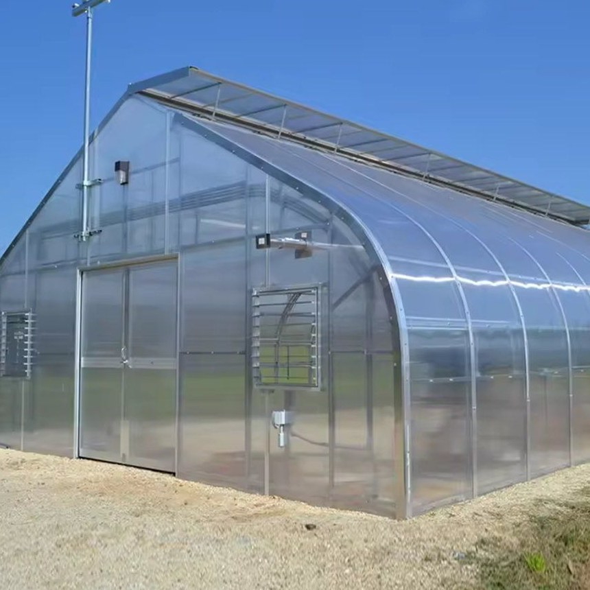 Film greenhouse with blue sky reflected across the covered roof