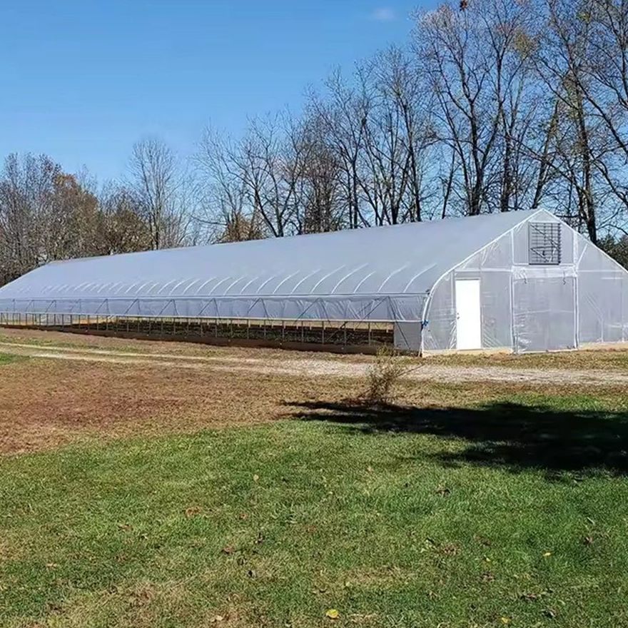 Long film greenhouse standing on a grassed site under a blue sky