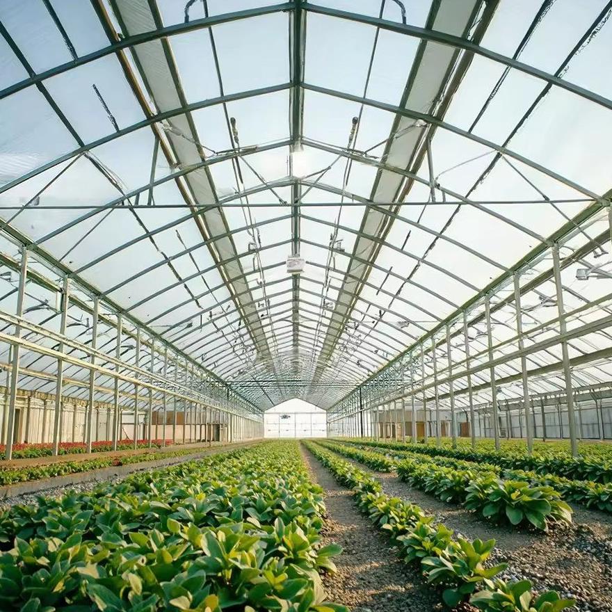 Crop beds running the length of a soilless greenhouse bay