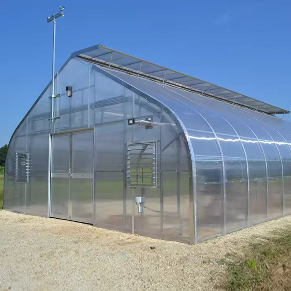 Soilless Gothic Greenhouse with Double Layer Film for Tomato Growing