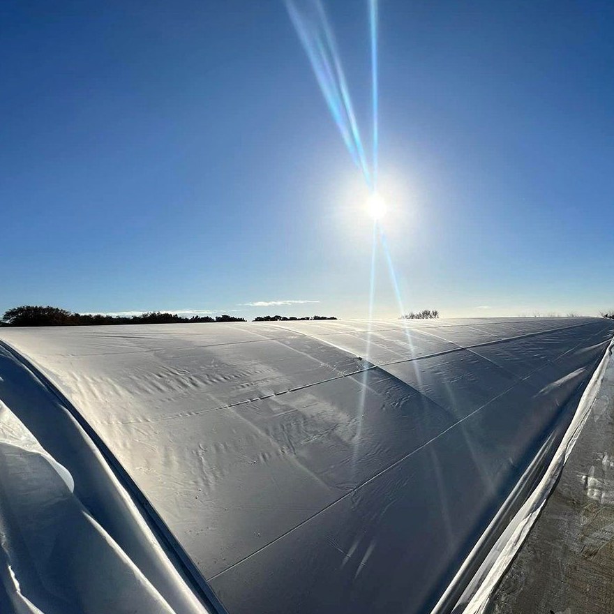 Film covered greenhouse range shot against a low winter sun
