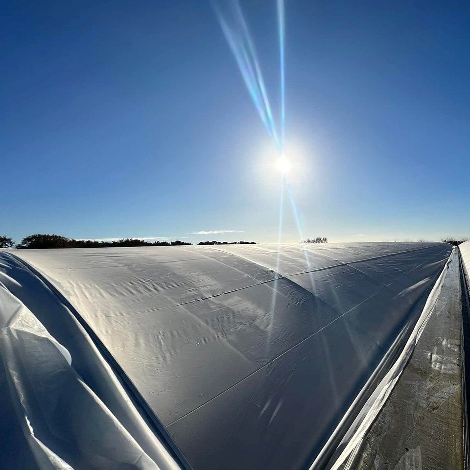 Energy Saving Sunlight Greenhouse with Solar Storage Wall for Cold Farms