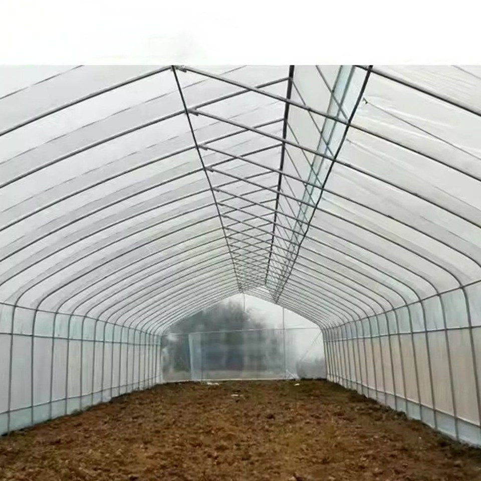 Empty arched tunnel greenhouse with film walls and a soil floor