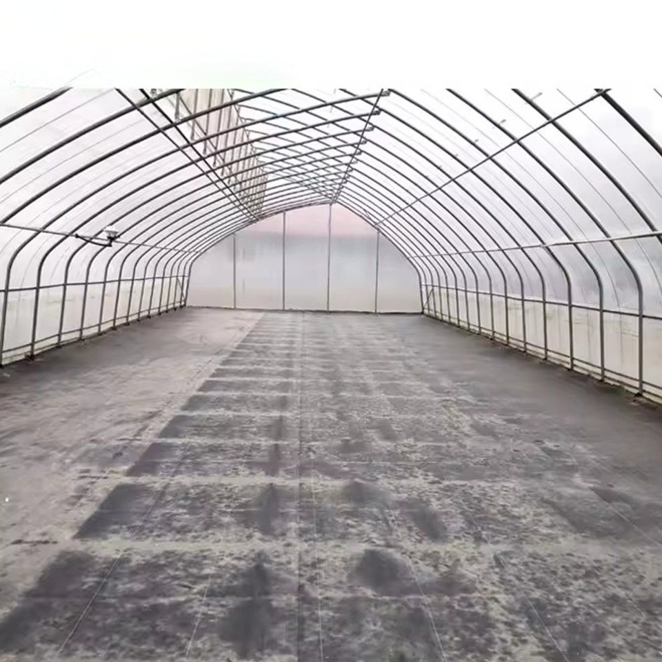 Empty interior of an arched greenhouse with a concrete floor